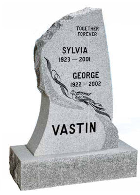 "Vastin" - Model#C86
